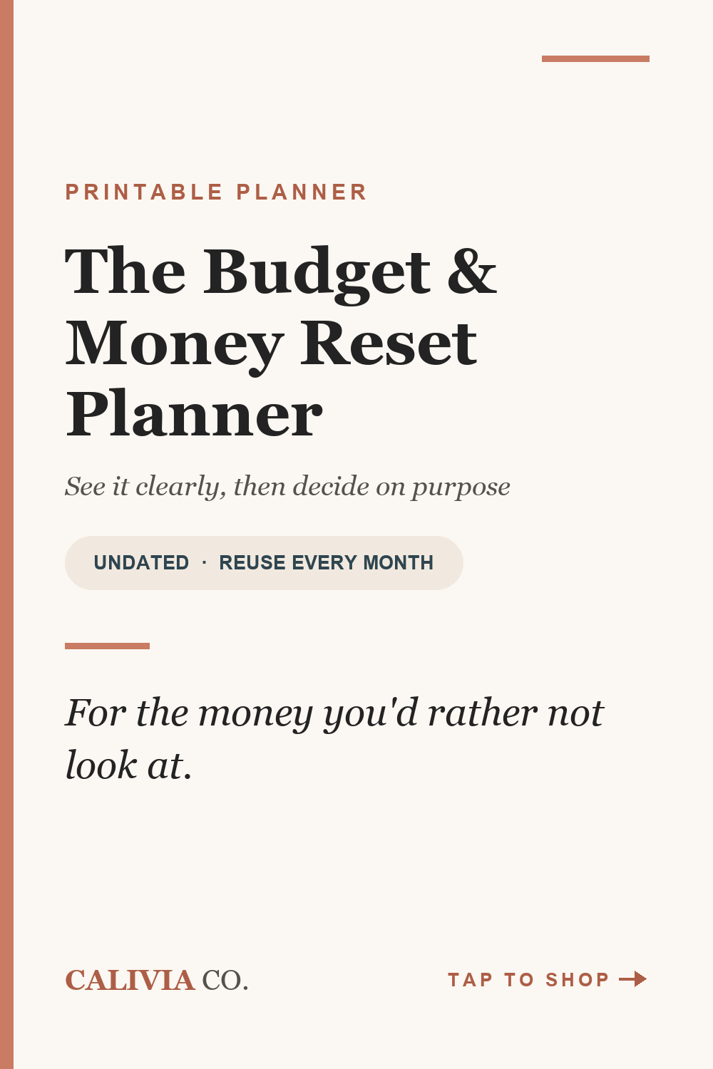 Pinterest pin for The Budget and Money Reset Planner